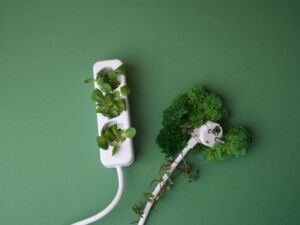Eine Mehrfachsteckdose mit Pflanzen für green hosting.