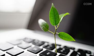 Eine Pflanze wächst aus einer Tastatur, um Green Hosting zu visualisieren.